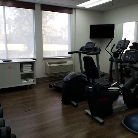 Holiday Inn Express Daytona Beach - Speedway, An Ihg Hotel Bagian luar foto